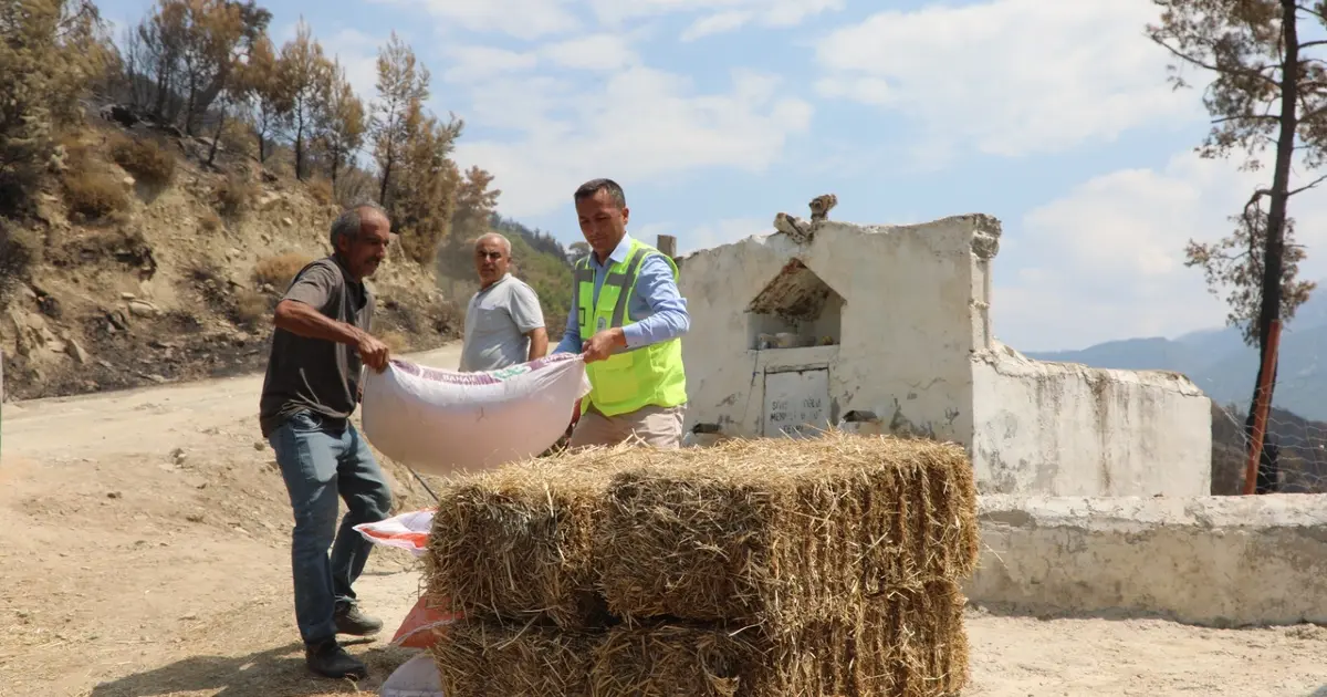 Muğla Seydikemer’de yaralar hızla sarılıyor