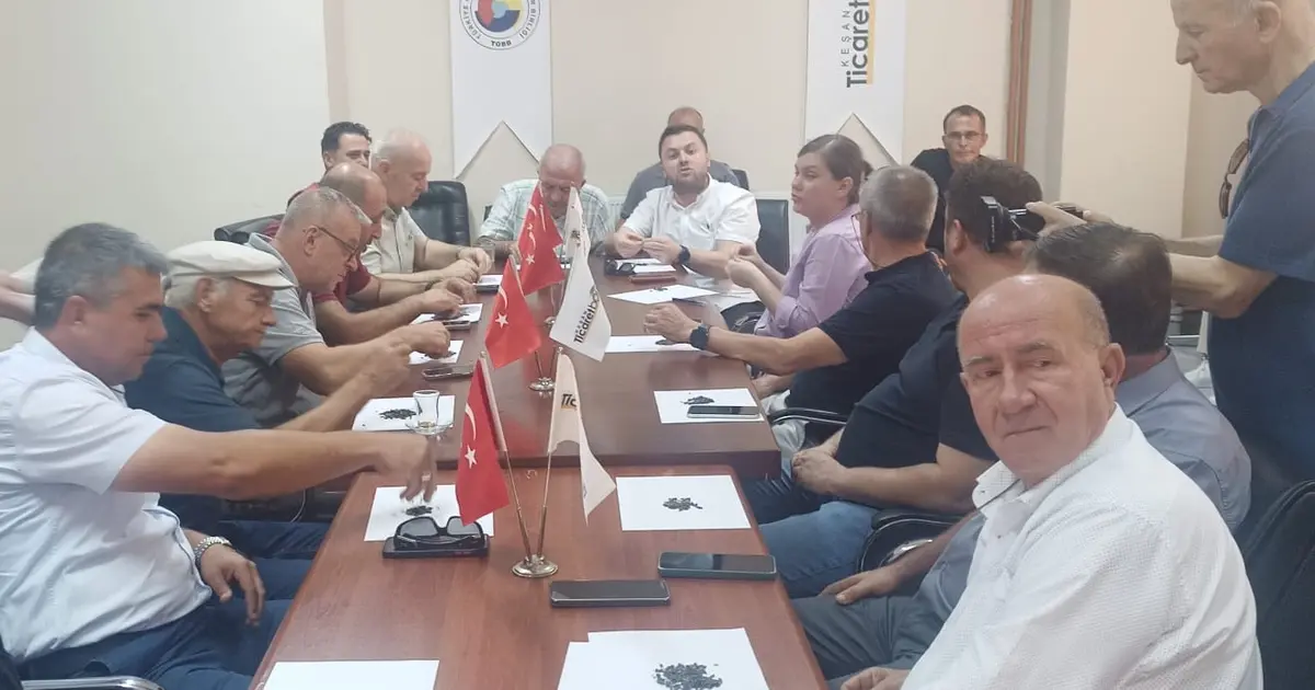 Keşan’da 2026’nın ilk ayçiçeği 42,50 TL’den satıldı - Ekonomi Haberleri
