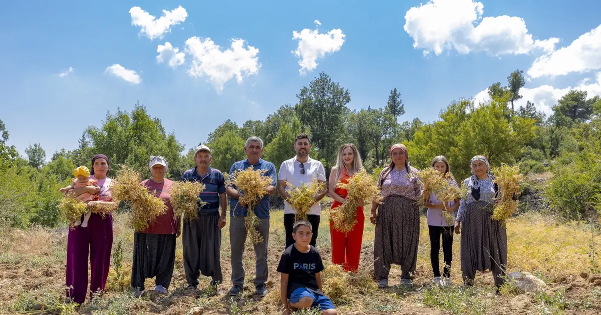 Mersin’de yerel tohumlar geleceğe taşınıyor