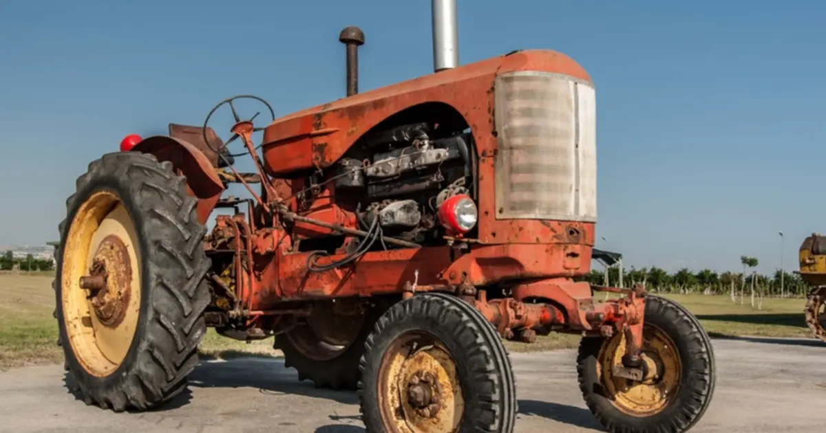 Edirne tarımı buğday ve ayçiçeğine sıkıştı!