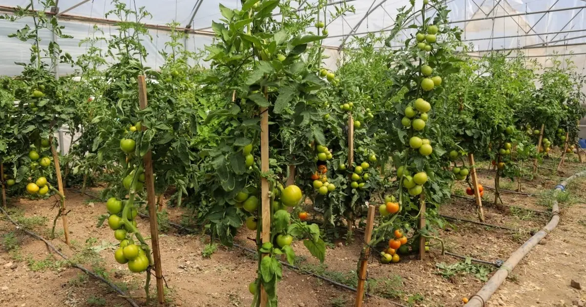 Eskişehir’de Çiftçi Destekleme ve Eğitim Merkezi kuruluyor