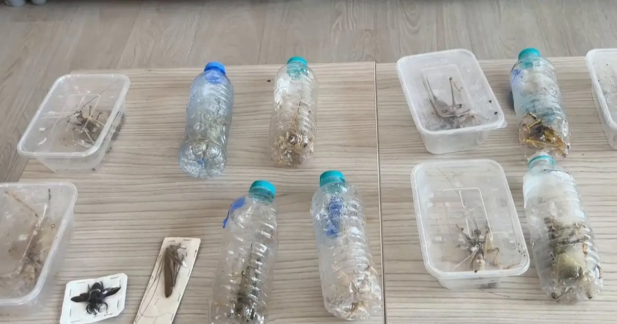 Nemrut’ta biyokaçakçılık operasyonu! 2 kişiye 1,4 milyon TL ceza