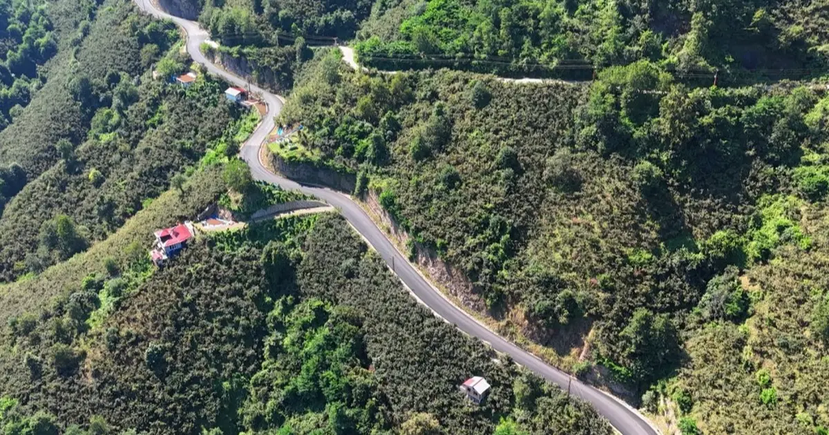 Ordu Altınordu ve Perşembe’ye sıcak asfalt konforu