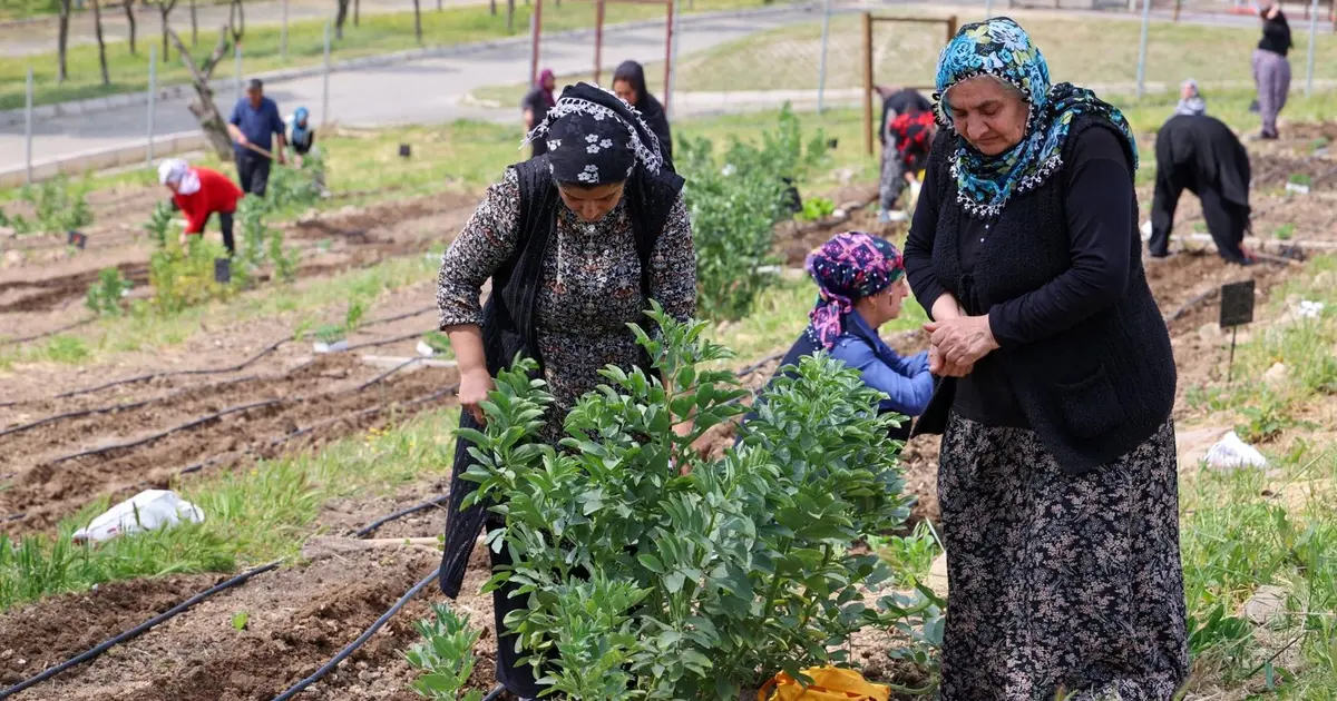 İzmir Mahalle Bostanları büyüyor