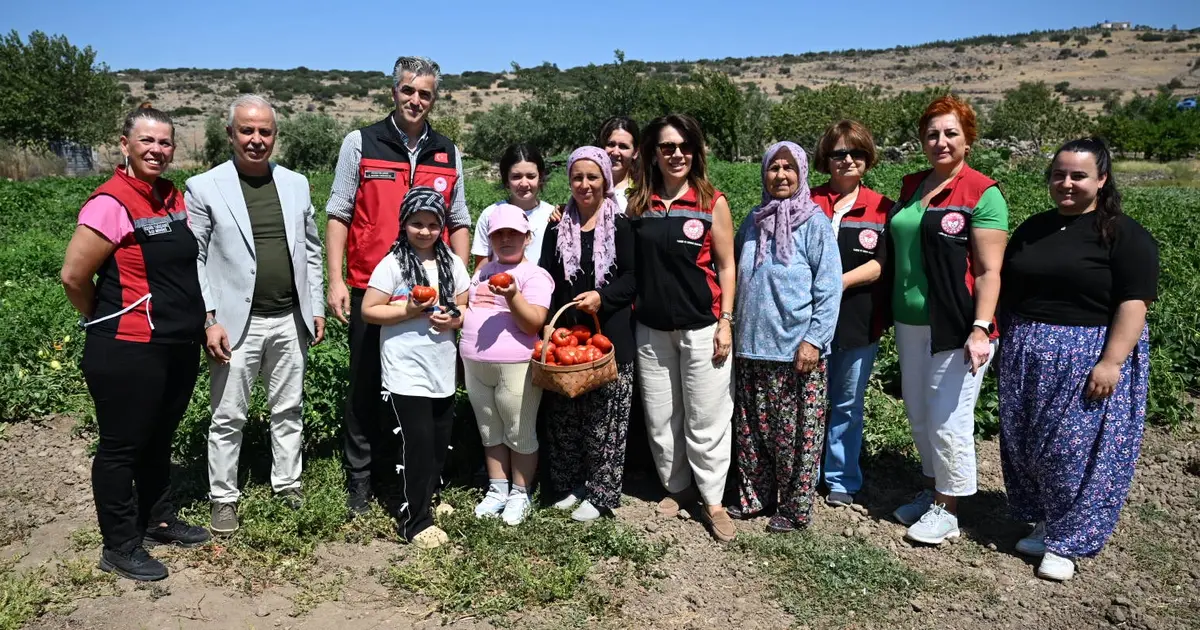 Yamanlar Tarla Domatesi için üreticilerle tarlada buluşuldu