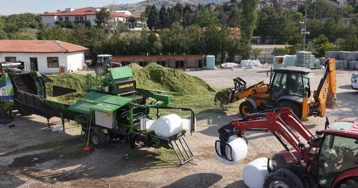 Ankara’da hayvan yetiştiricilerine silaj desteği