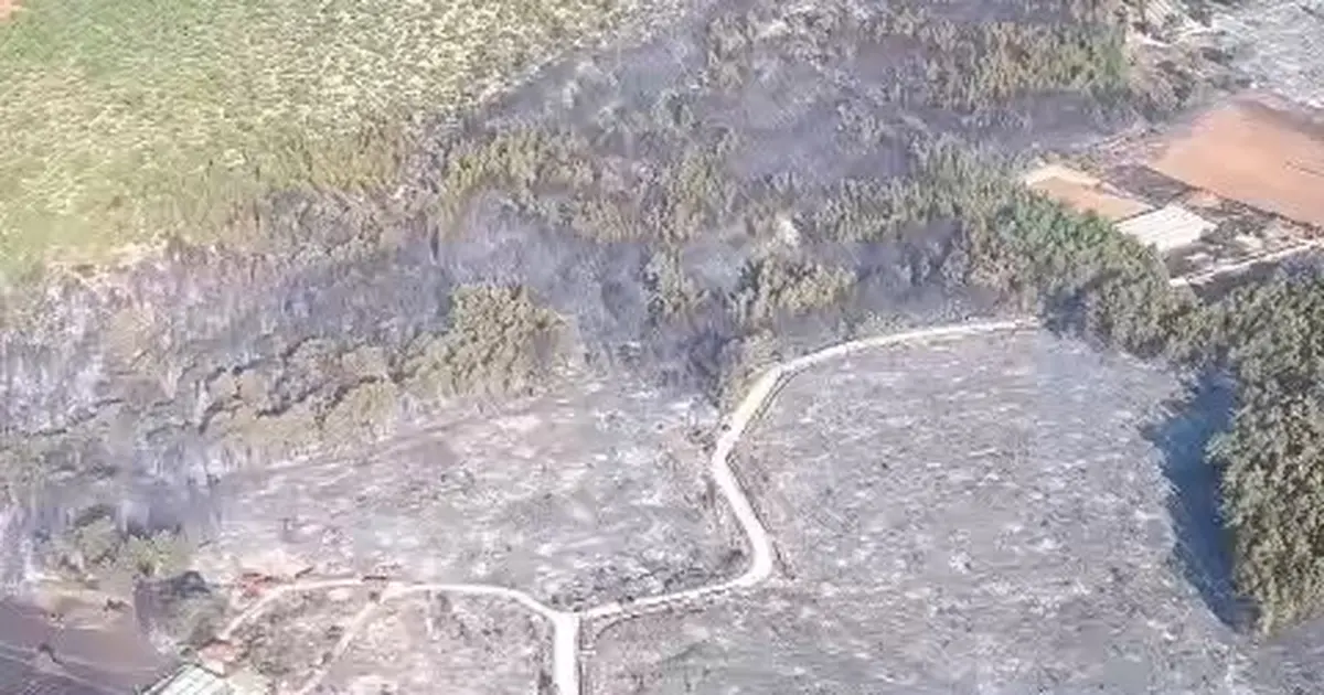 Muğla’da başlayıp Antalya’ya sıçrayan orman yangını kontrol altına alındı