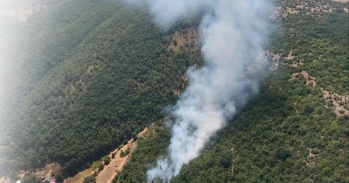 Bursa Kestel ve Harmancık'ta orman yangını... Havadan ve karadan müdahale sürüyor