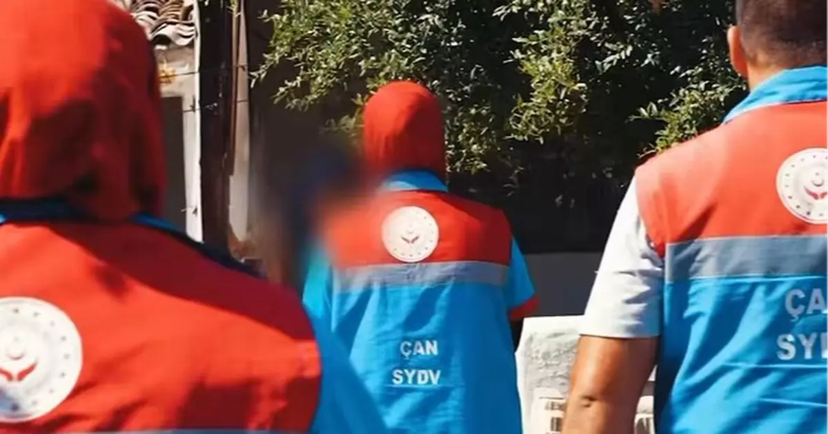 Ulusal Vefa ile günlük yaşam kolaylaşıyor