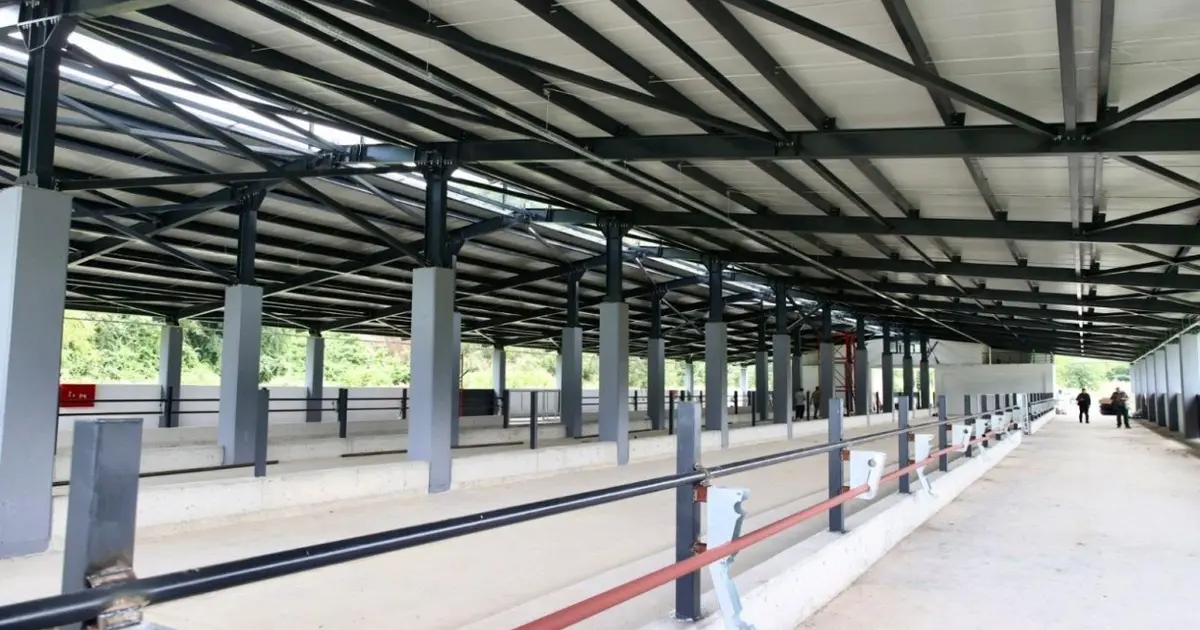 Ordu Fatsa’da Damızlık Düve Yetiştirme Merkezi tamamlandı