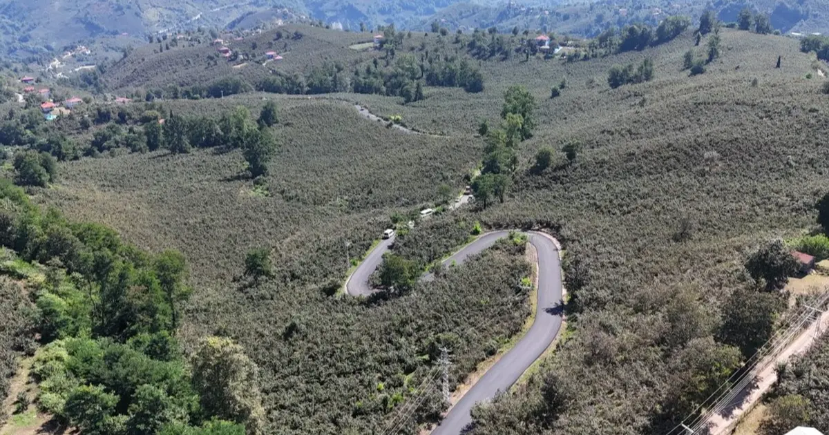 Ordu’da Ulubey Şeyhler’de yol sevinci