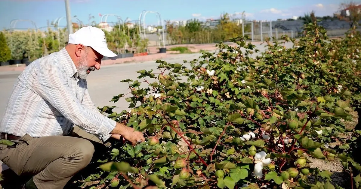 Kayseri'nin yeşil geleceği Kocasinan'da hayat buluyor