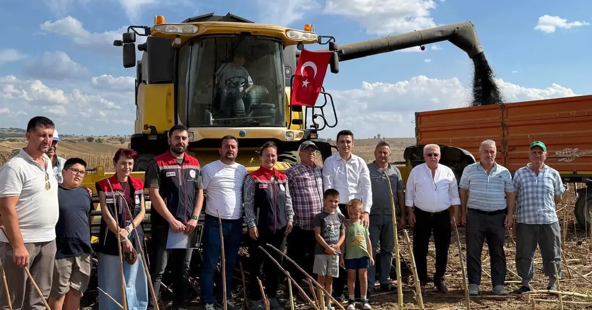 İpsala’da ayçiçeği hasadı heyecanı