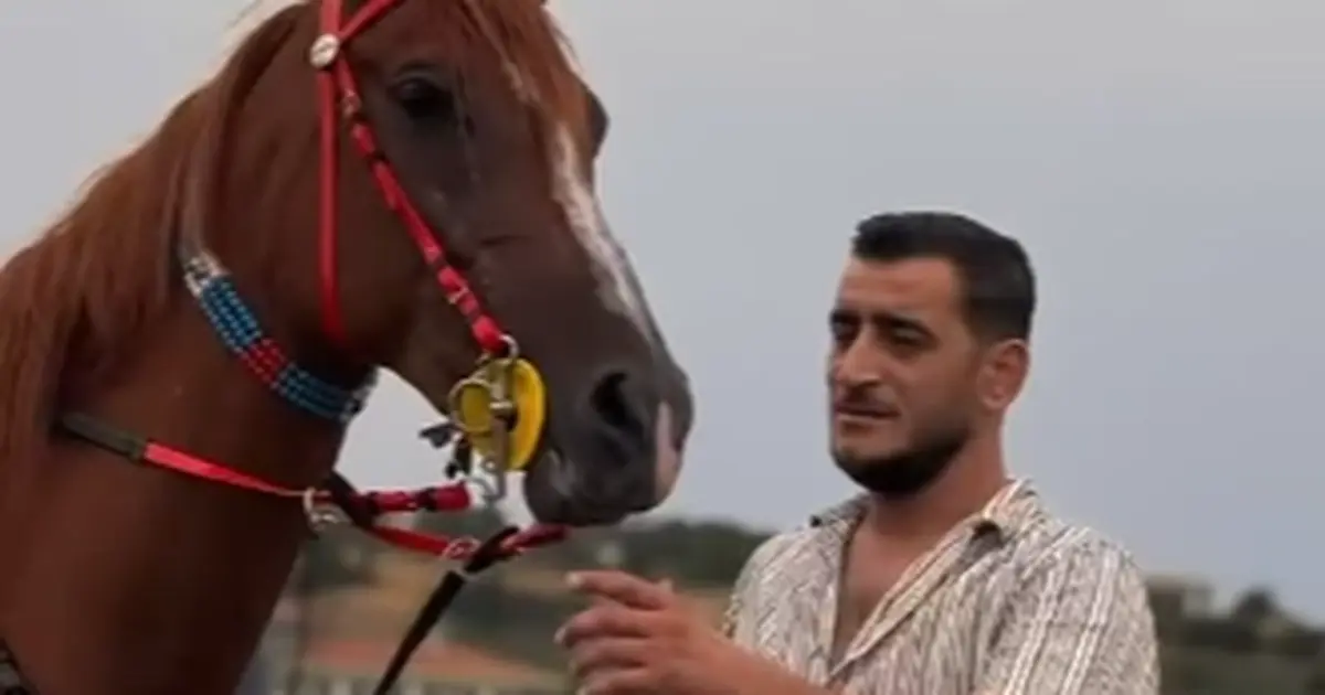 Edirne İpsala’da Arap atı sevgisini yaşatıyor