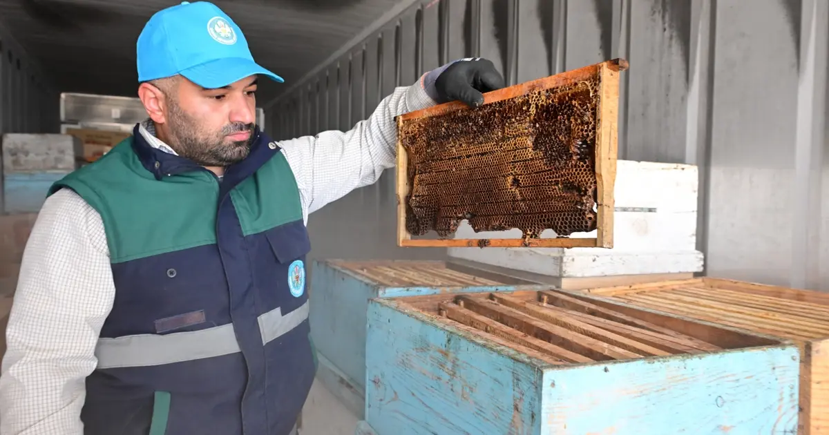 Manisa’da arıcıların peteklerine eksi 30 derecelik koruma