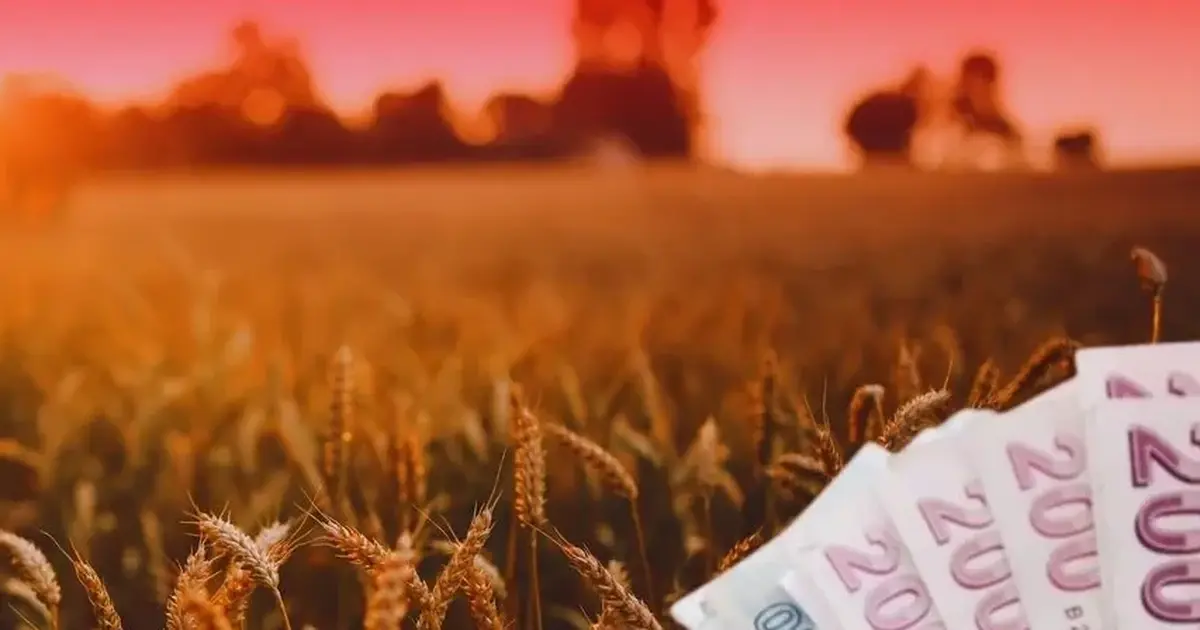 TMO’dan üreticiye 4,5 milyar TL'lik ödeme
