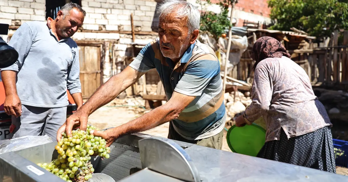Antalya'da üzüm üreticilerine makine desteği