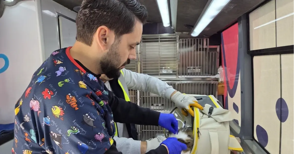 Balıkesir’de can dost aracı yollarda
