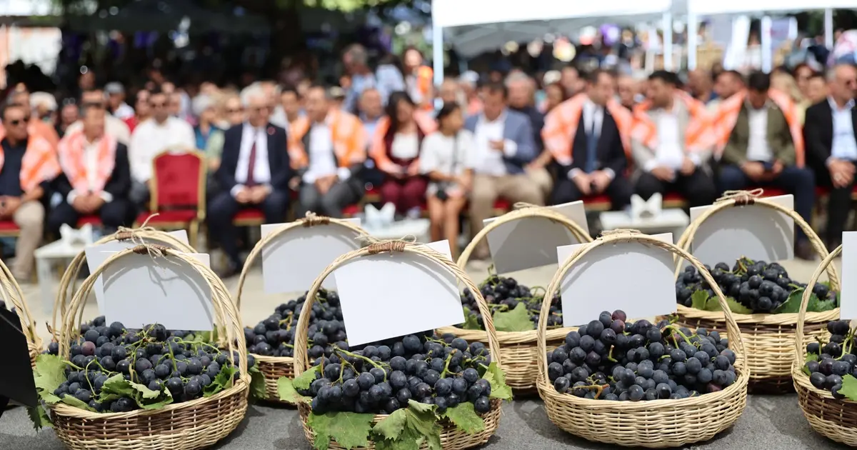 İzmir Karabağlar’da Kavacık Üzüm Festivali coşkusu