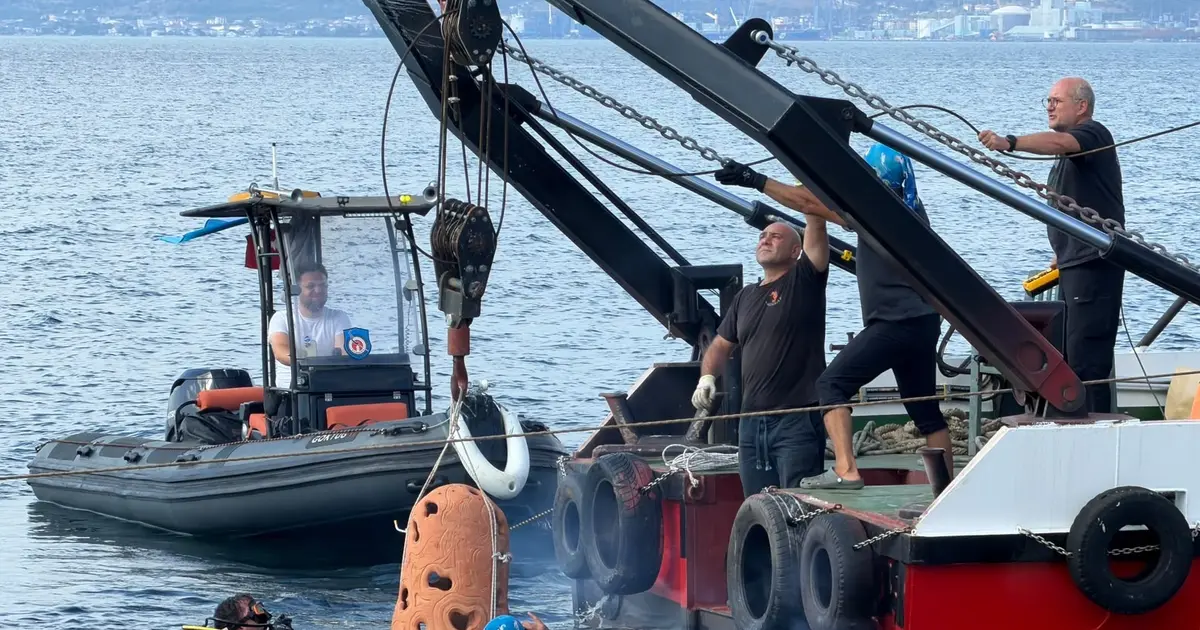İzmit Körfezi’nde resifler denize indirildi