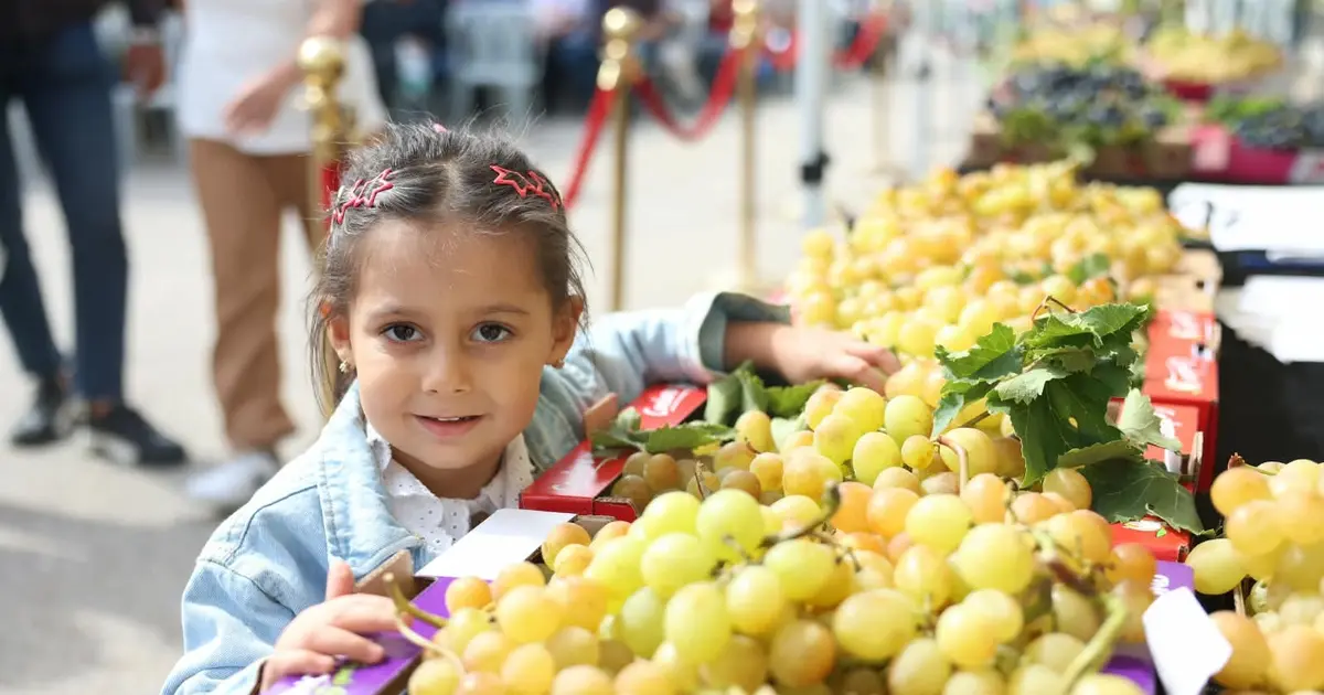 Bursa Osmangazi’de üzüm bereketi festivalle taçlandı