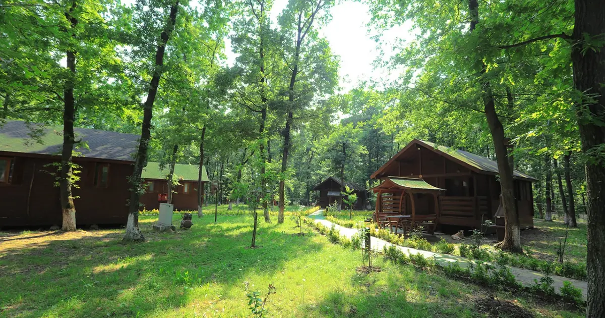 Sakarya İl Ormanı Bungalov Evleri misafirlerini bekliyor