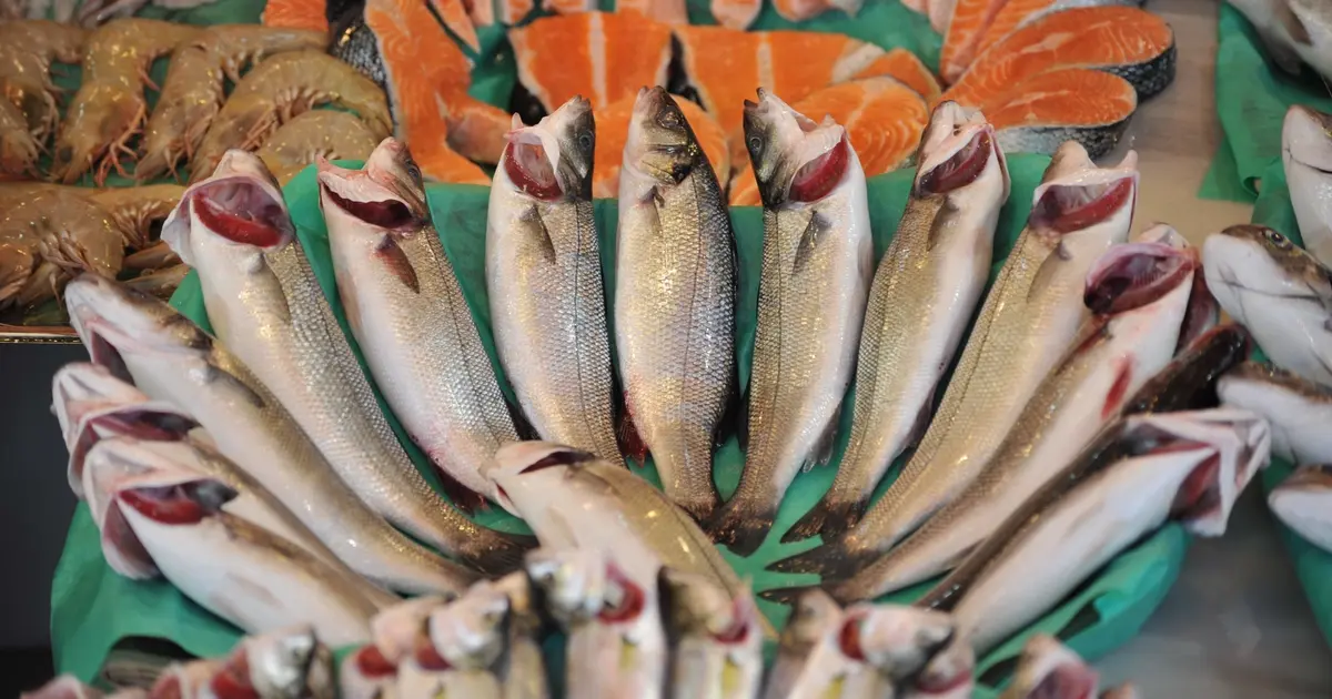 Su ürünleri sektörü Future Fish Eurasia’da buluşuyor