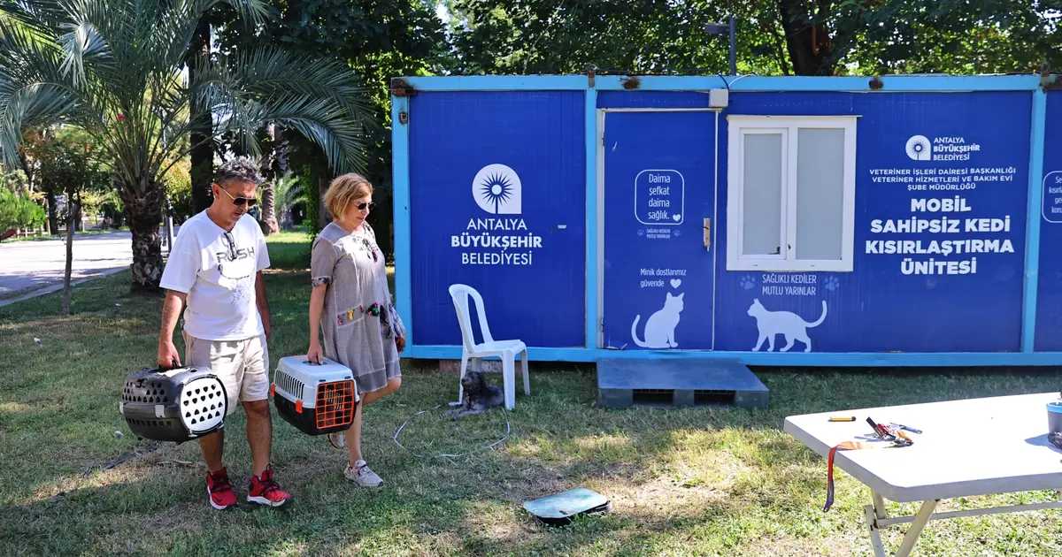 Antalya'da hayvan dostu çalışmaları sürüyor - Gündem Haberleri