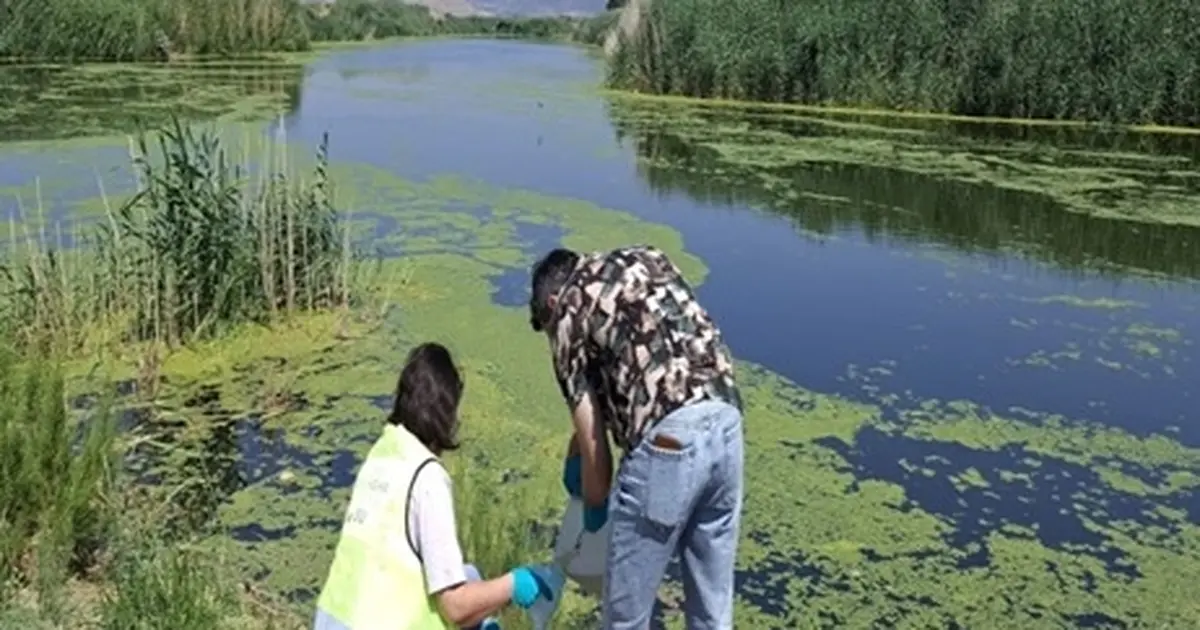 Yaz aylarında Gediz'de kirlilik yükselişe geçti
