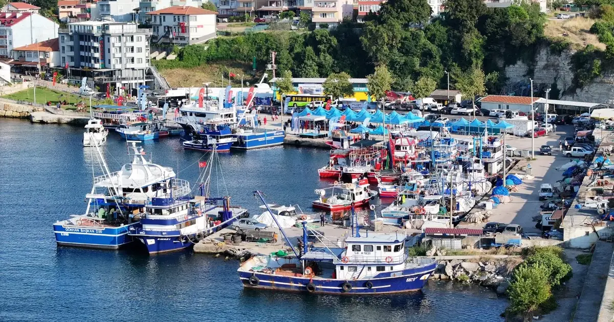 Kocaeli'de balıkçının umudu denizde, Büyükşehir yanında