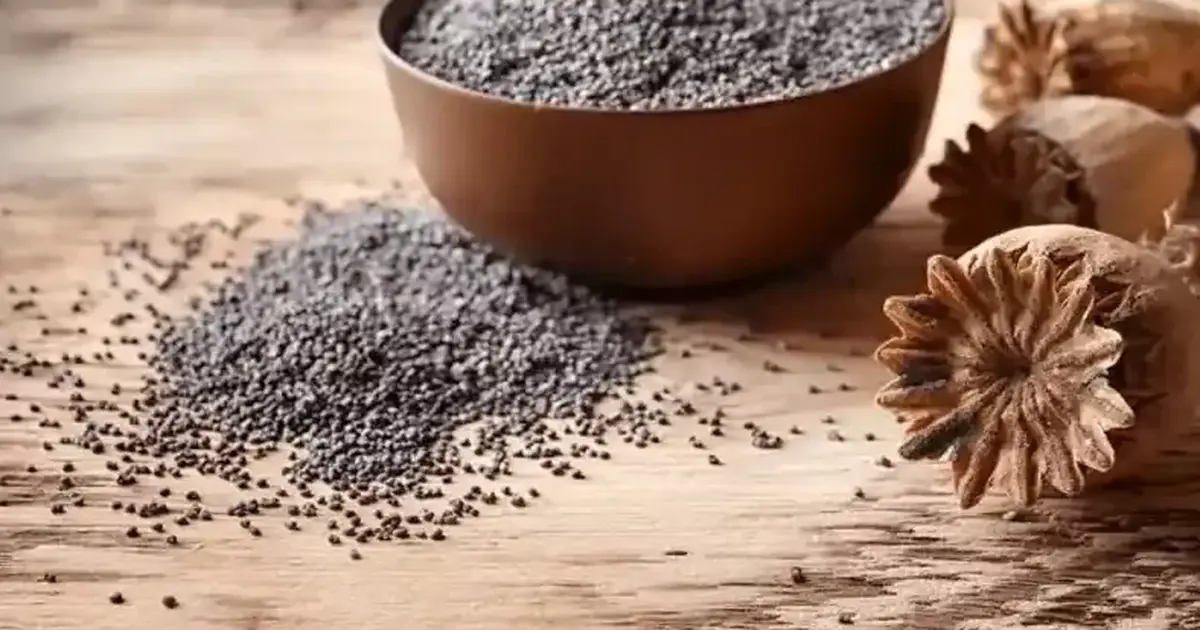 Haşhaş alım fiyatları belli oldu... Başvurular 30 Ekim’de sona erecek