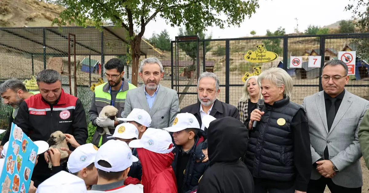 Kayseri Talas'ta can dostların özel günü