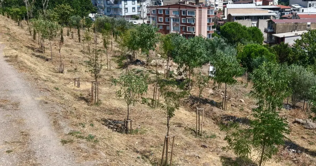 İzmir'in kıraç topraklarında yeşil dönüşüm