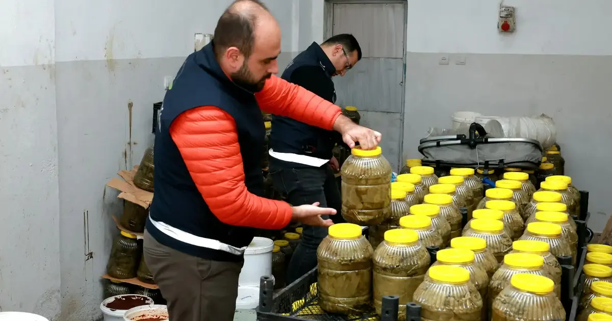 Bursa Osmangazi’de 6,5 ton gıda imha edildi