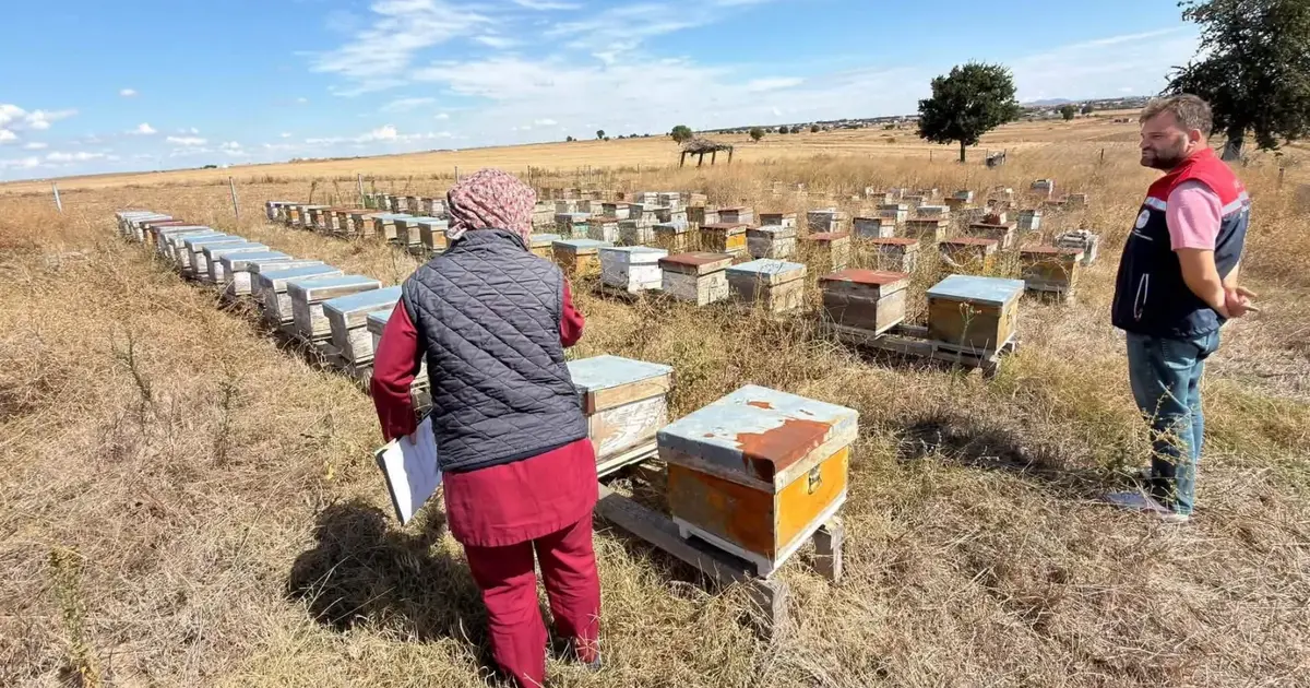 İpsala'da zirai bayi ve arı kovanı denetimleri