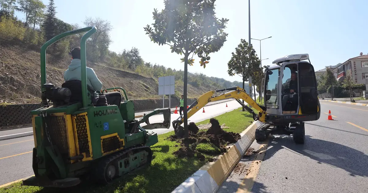 Sakarya'da ağaçlar o kazı için titizlikle taşınıyor