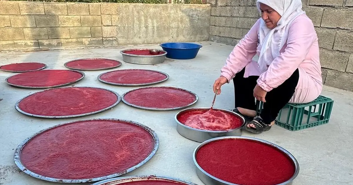 Adıyaman’da kış hazırlıkları hızlandı... Damlarda salça mesaisi başladı - Gündem Haberleri