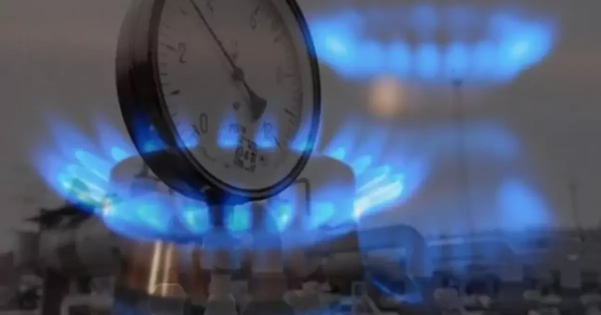 Hanelerin 2025 enerji tüketiminde doğal gaz ilk sırada