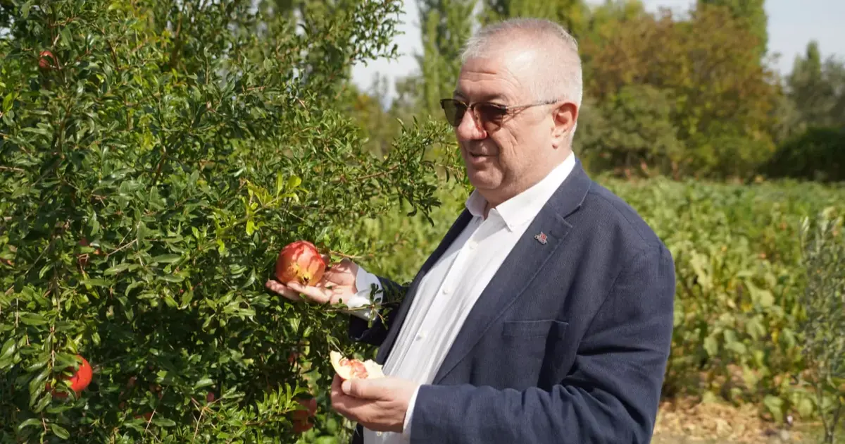 Balıkesir Edremit Belediyesi ata tohumlarını geleceğe taşıyor - Gündem Haberleri