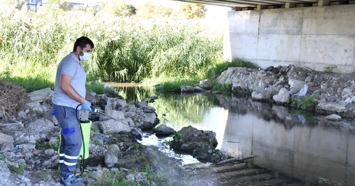 Çanakkale'de ısıran karasinek alarmı