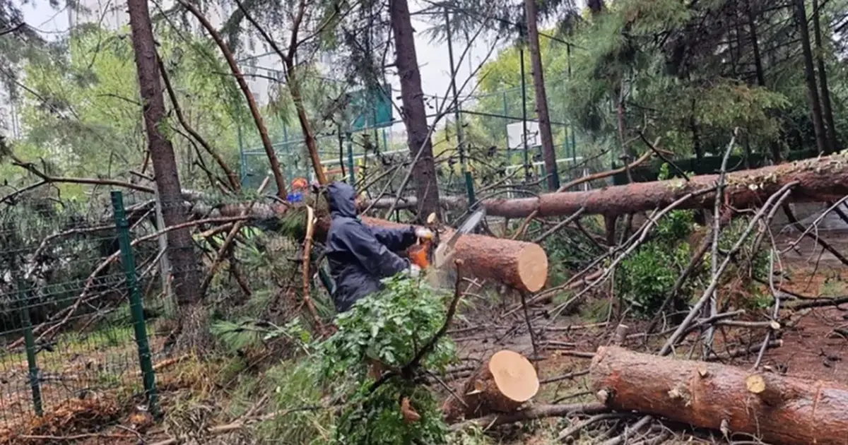 İstanbul Beylikdüzü'nde ekiplerin sağanak mesaisi