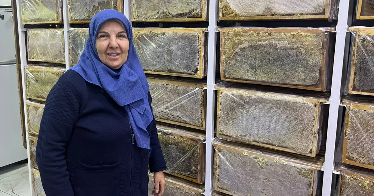 Ağrı’da arılar kışa hazırlanıyor... Arıcı Suzan Sürmeli anlattı