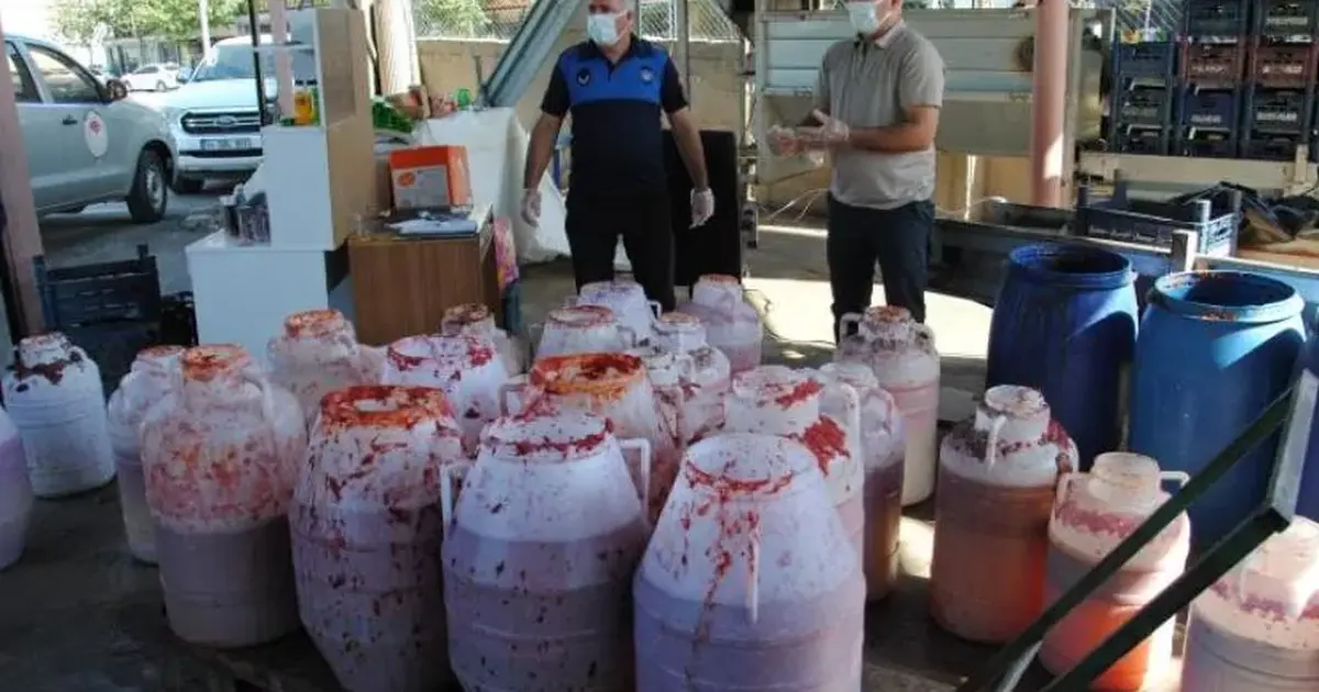 Küflü salçaları satacaklardı! Zabıtadan şok baskın