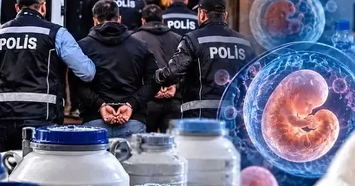 14 ilde üreme hücresi ve doku ticareti operasyonu! 36 gözaltı