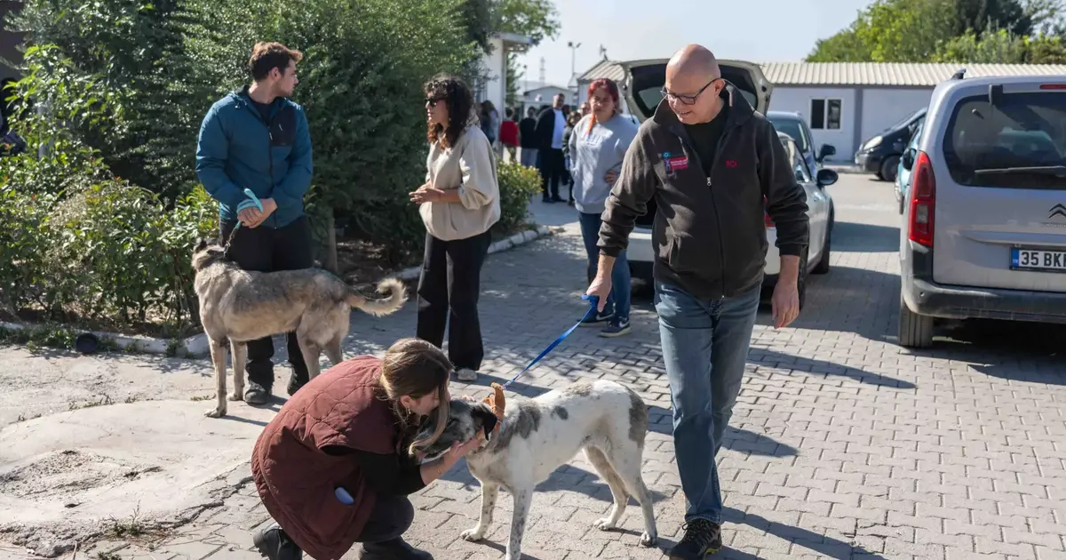 Bornova'da can dostları yeni sahipleriyle buluştu