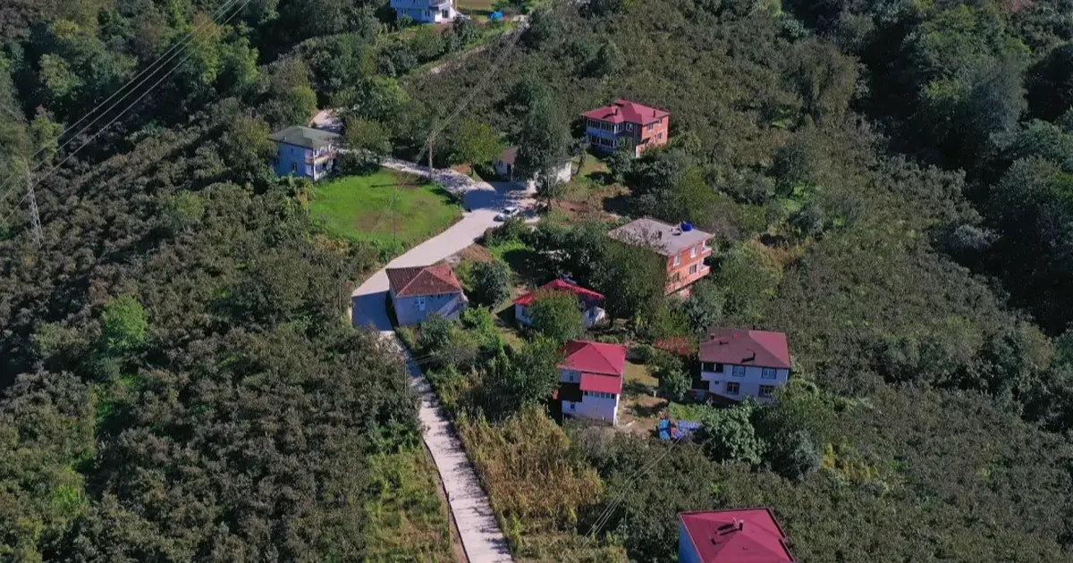 Ordu Çamaş'ta beton yol çalışmaları aralıksız sürüyor
