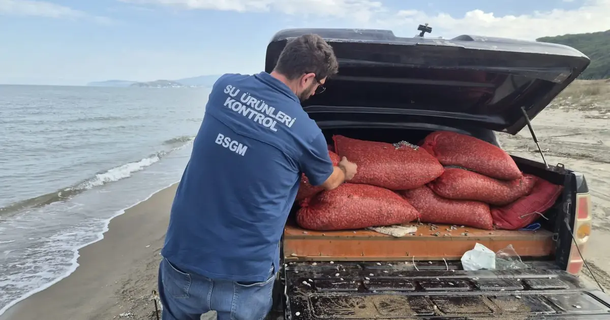 Mudanya Eğerce'de 2,7 ton kum şırlanı denize iade edildi!