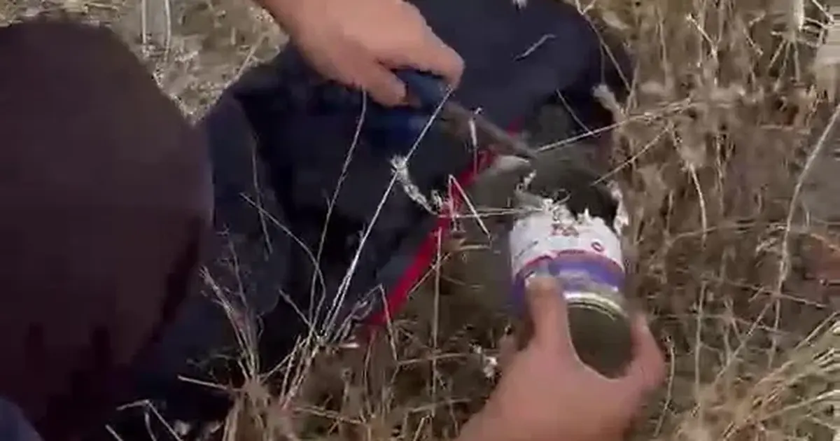 Kayseri itfaiyesi minik kediyi kurtardı