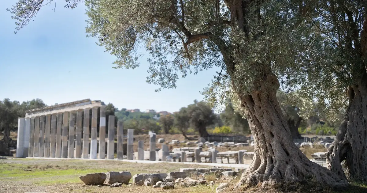 Teos’un taşları 2 bin 200 yıllık tarihi gün yüzüne çıkarıyor