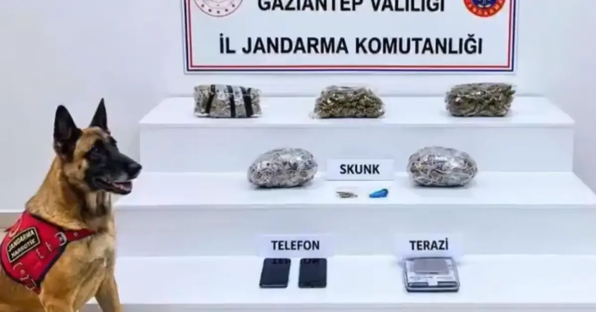 32 ilde yüzlerce kilo uyuşturucu ele geçirildi